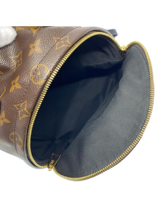 Louis Vuitton Monogram Reverse Palm Spring Backpack PM Brown Marron main image 5